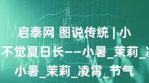 启泰网 图说传统 | 小暑闻花香 不觉夏日长——小暑_茉莉_凌霄_节气