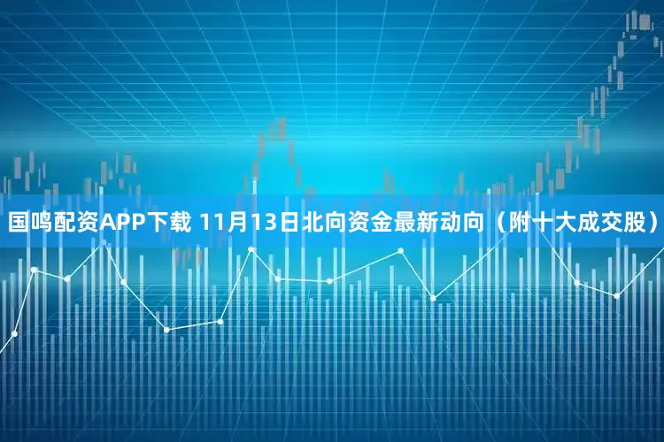 国鸣配资APP下载 11月13日北向资金最新动向（附十大成交股）